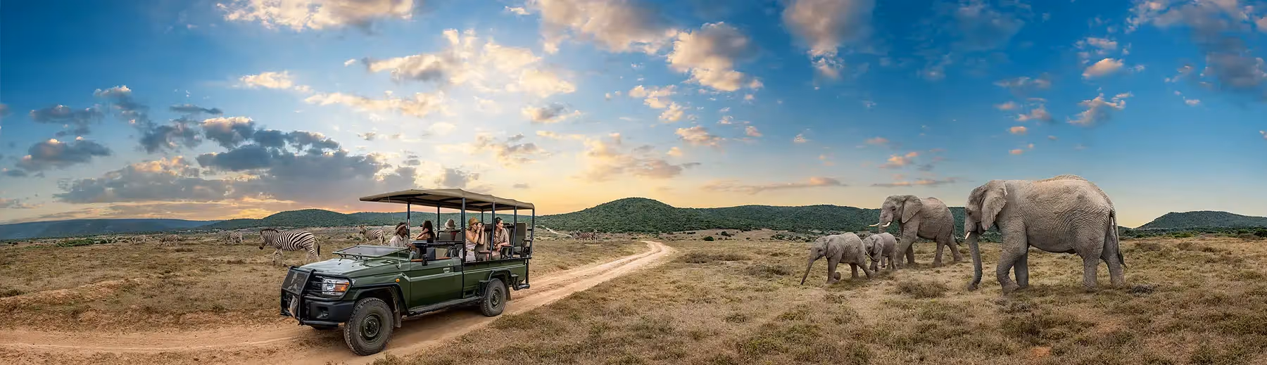 A panoramic view of a sand track with a safari vehicle parked and tourists observing elephants and zebras in the background. 