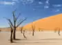 Namibia Safaris