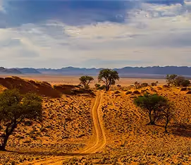 A dusty road winds through the untamed wilderness of Namibia.