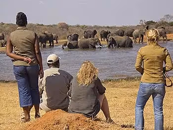 People standing and sitting on a sand mound watching elephants in the water. 