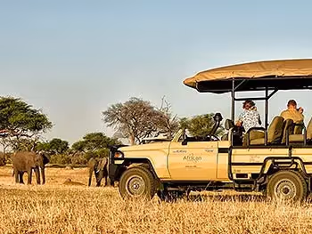 A view onto the side of an open safari vehicle with guests photographing elephants nearby.