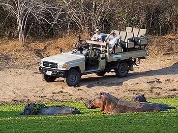 An open safari vehicle on a sand bank with guests, guide and tracker observing hippos in the water.