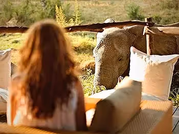 A woman sitting on a couch on a deck as an elephant comes walking right by.