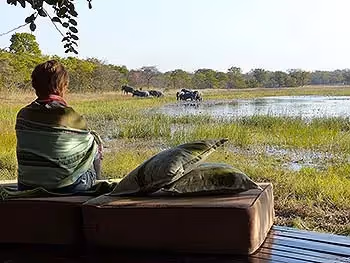 A woman sitting facing a waterhole watching elephants in the reeds.