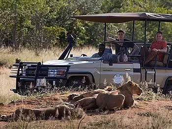Two guests and a guide in an open safari vehicle watching a pride of lions sleeping on a dirt mound.
