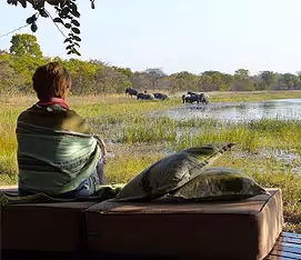 A woman sitting on the edge of a deck watching elephants in the water. 