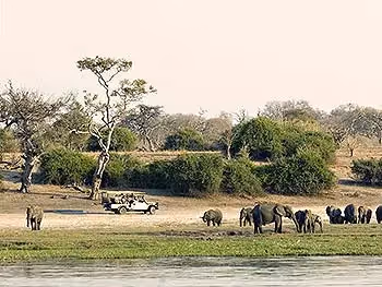 Elephants at the waters edge and a safari car in the distance.