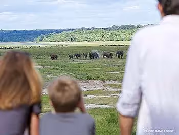 A man and two children overlooking elephants on a flood plain in the Chobe National Park.