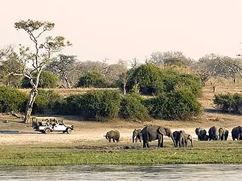 A safari vehicle watching elephants at the water's edge.