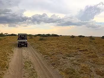 An open safari vehicle driving on a dirt track in the bush.
