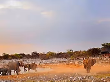 Spectators watching elephants at the Okaukuejo Waterhole inside the Etosha National Park.