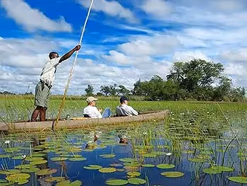 Two people with a guide poling along in a mokoro on the river covered with lily pads.