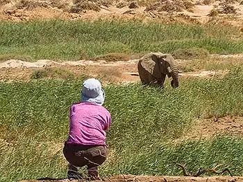 A lady crouching down to take a picture of an elephant in the reeds in front of her. 