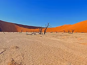 The white cracked pan with the famous dead trees in Dead Vlei and the towering red sand dunes in the background.