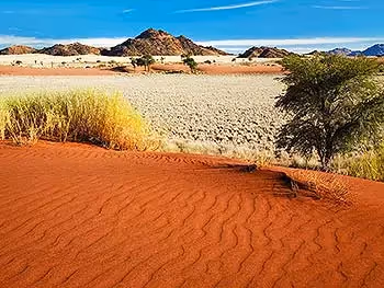 A view from a red sand dune looking over grasslands, sand dunes and distant mountains. 