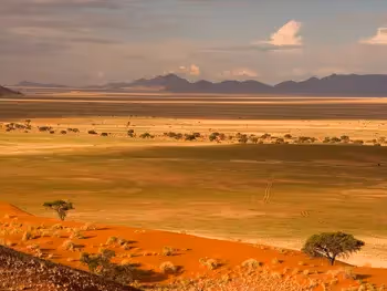 The endless desert landscape of red sand dunes, open grass plains and distant mountains.