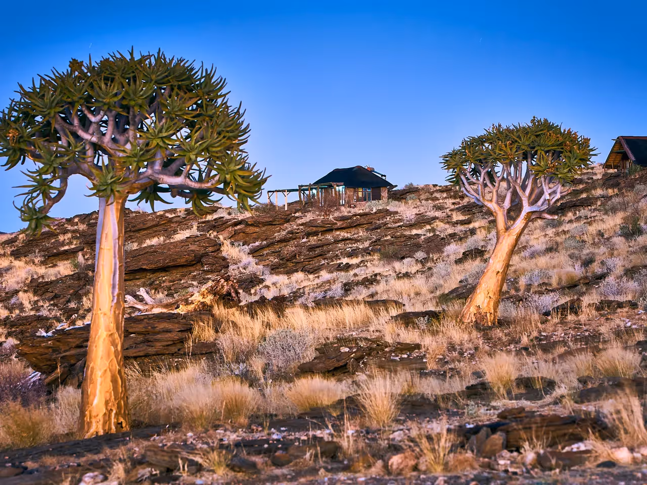 Namib's Valley Lodge