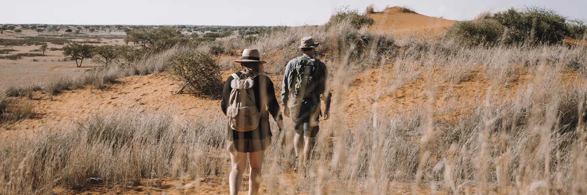 Wanderer genießen die weite Schönheit der Kalahari-Dünen und Savannen auf dem Trans Kalahari Hike.