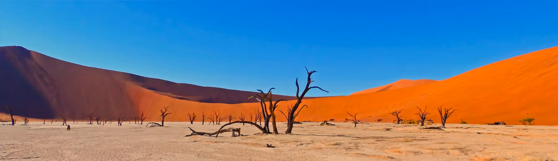 Sossusvlei Highlights