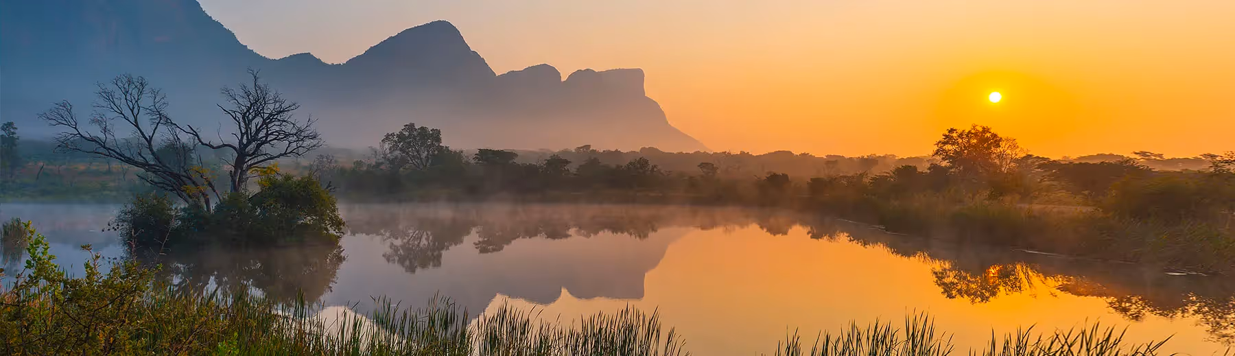 Limpopo Tours & Safaris