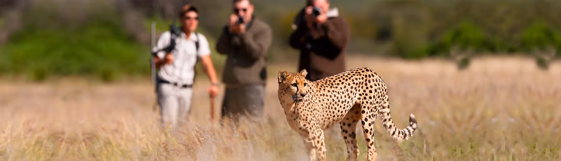 Waterberg Accommodation