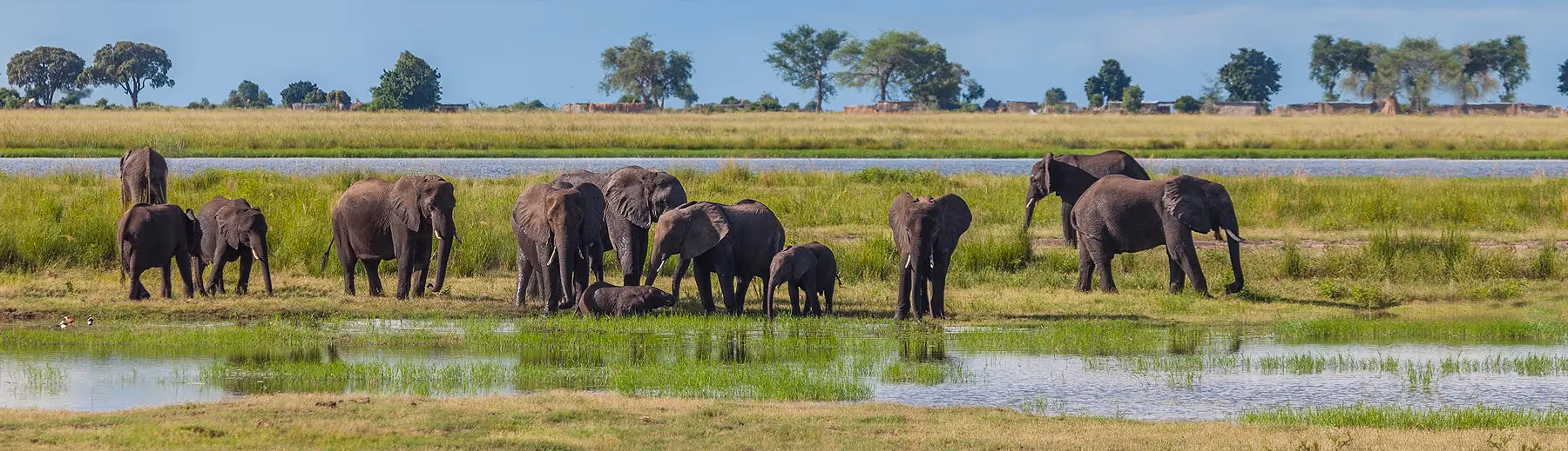 Chobe National Park	Highlights