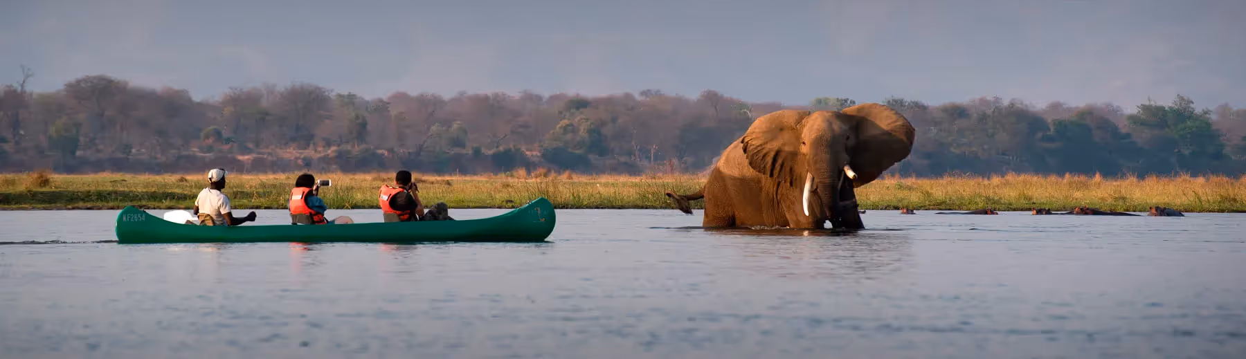 Mana Pools National Park	Highlights