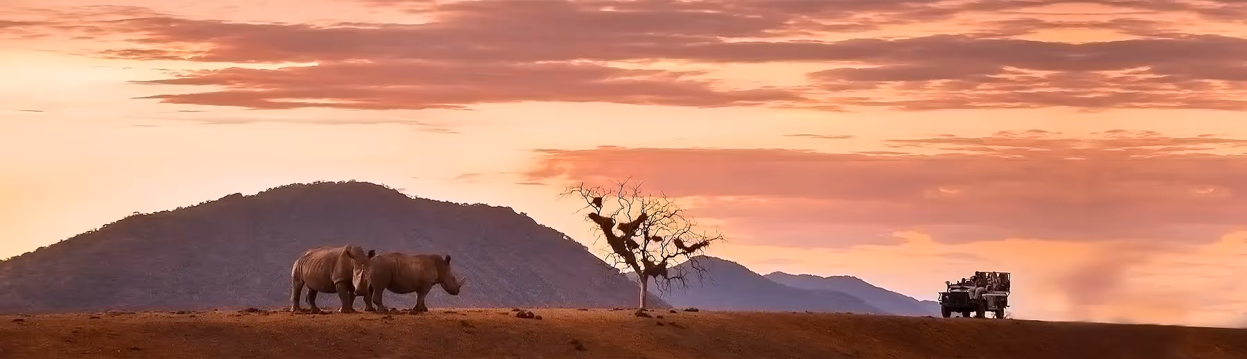 Kruger National Park Tours & Safaris