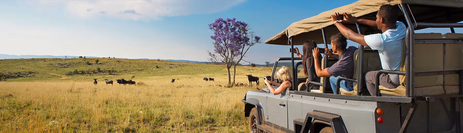 Garden Route Safari	Highlights