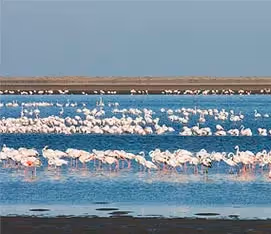 Walvis Bay