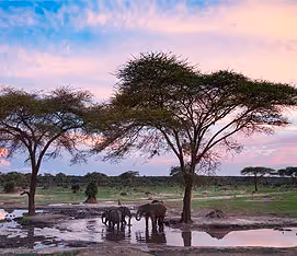 Gonarezhou National Park