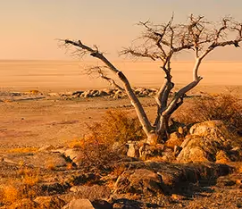 Makgadikgadi Pans