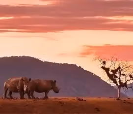 Kruger National Park