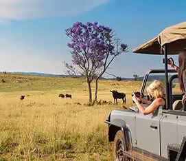 Garden Route Safari