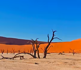 Sossusvlei
