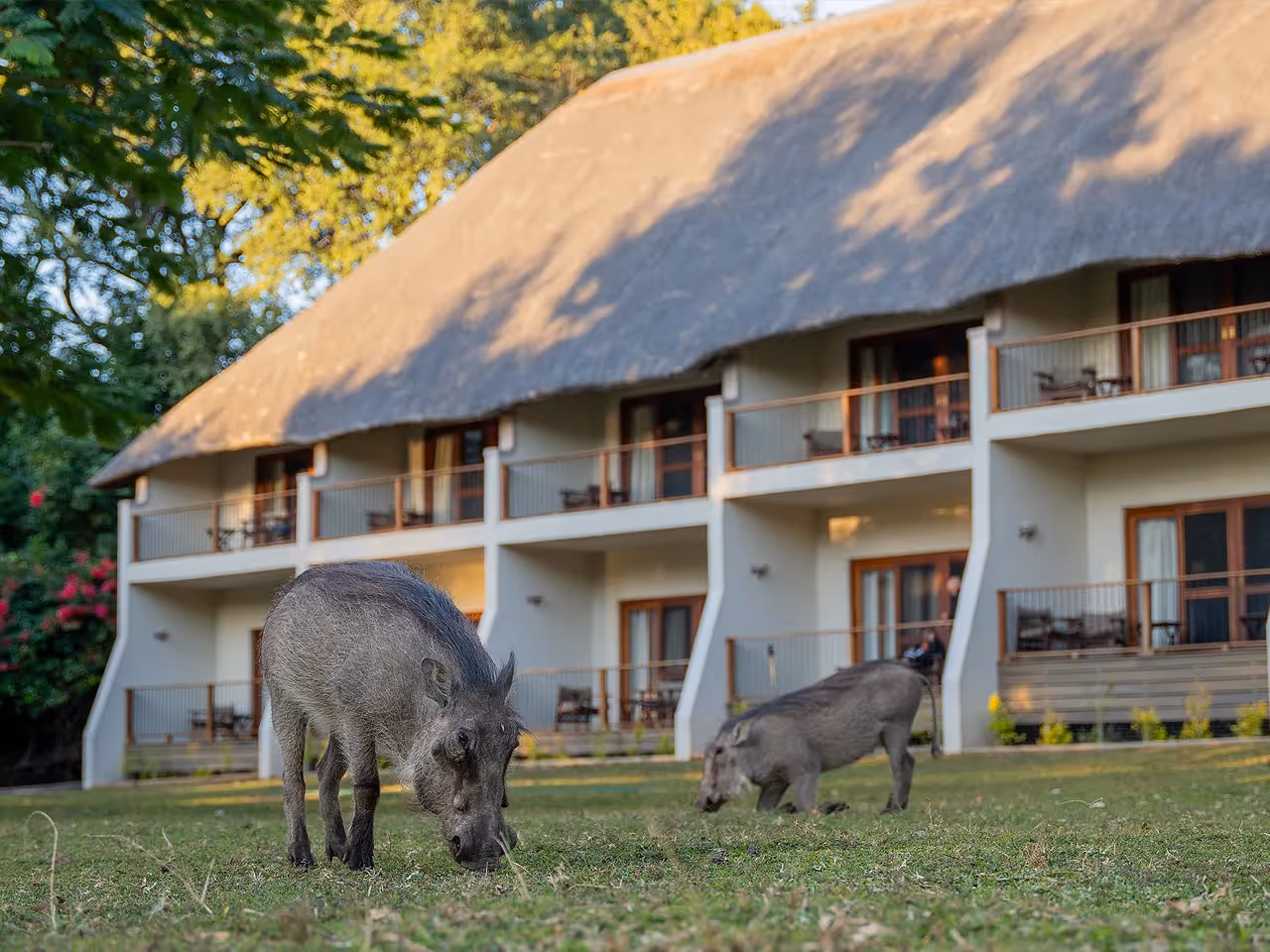Chobe Safari Lodge
