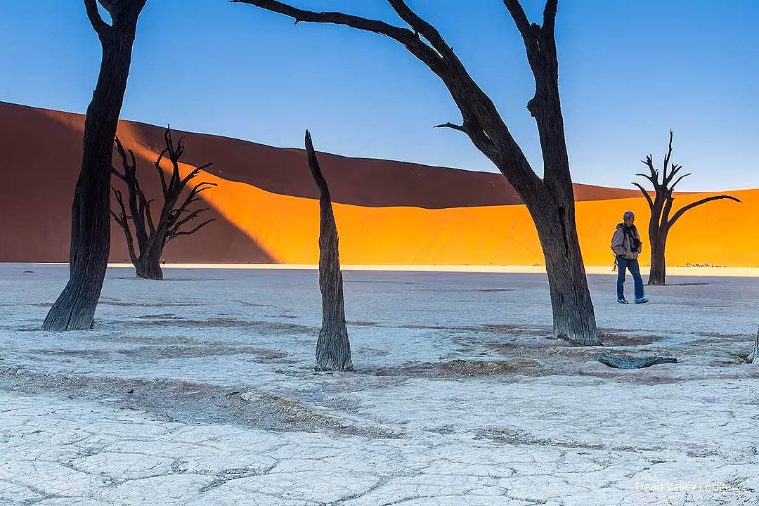 Meander over the dunes to reveal the wonder of Dead Vlei as the sun starts to rise.