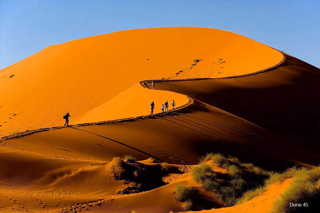 Scale the Big Daddy dune for lofty views.