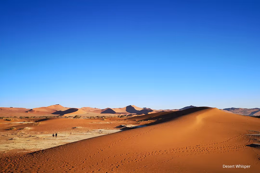 Enjoy a light picnic breakfast and explore the pan surrounded by some of the world’s highest dunes.