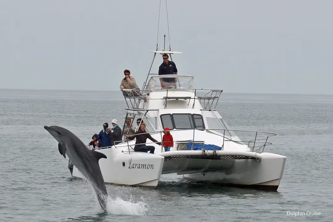 We recommend a Walvis Bay dolphin cruise, sea kayaking with seals, or a half-day Sandwich Harbour tour.