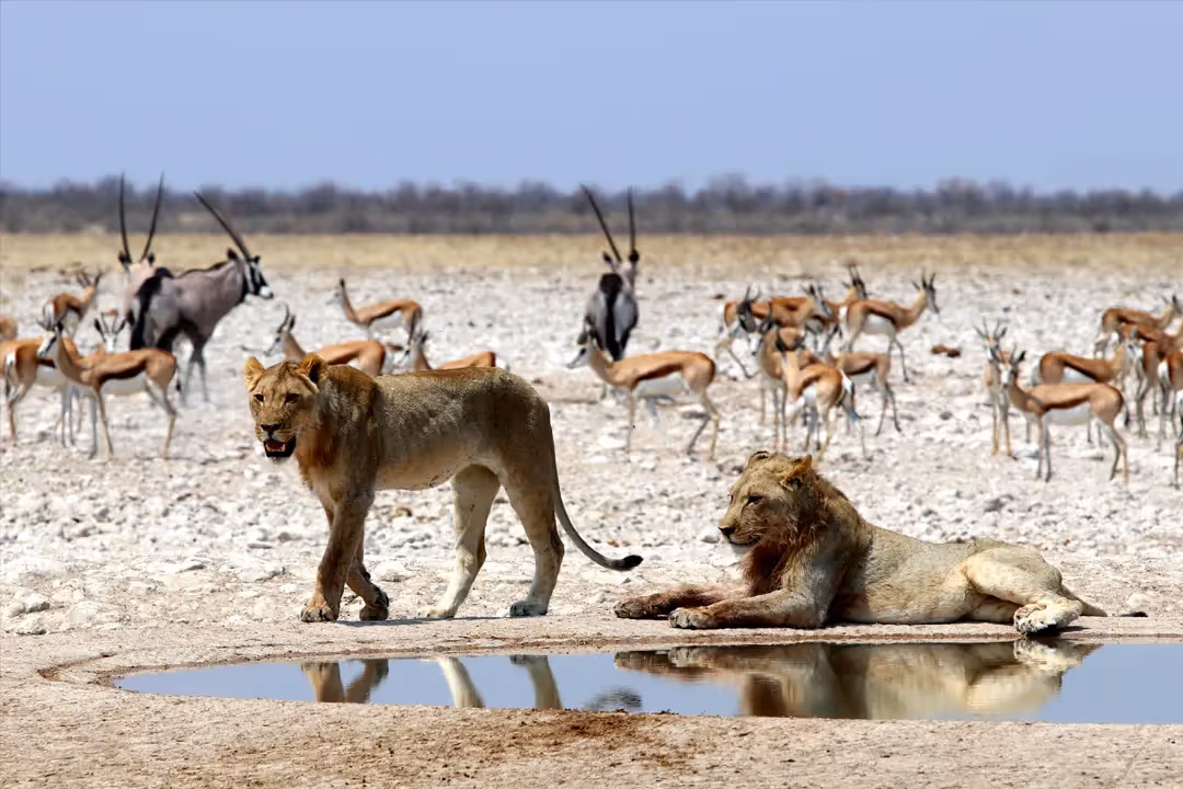 Enjoy your packed breakfast. Watch and wait.