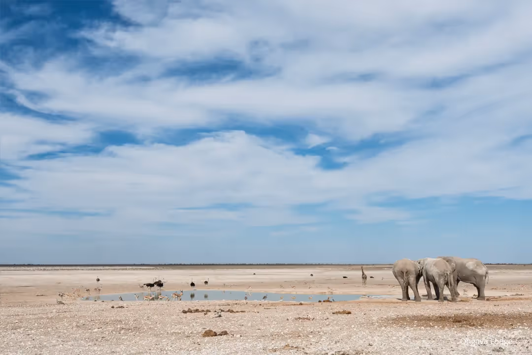 Go wherever the road takes you, and stay where you find the action.