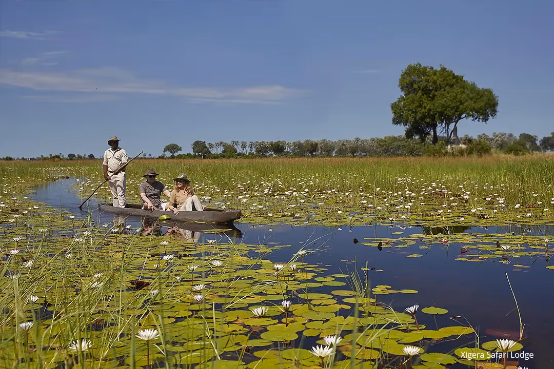 Your afternoon activity might include cruising the river aboard a traditional mokoro or boat to explore the wildlife from the water.