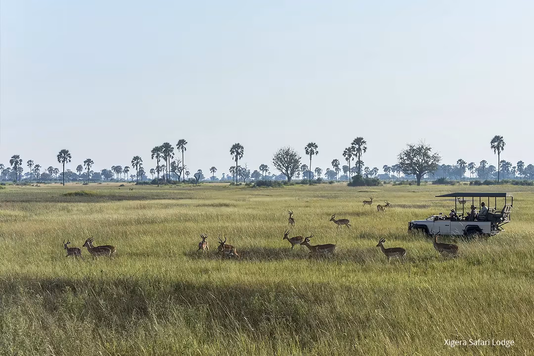 Explore more of the African bush, enjoy coffee and rusks somewhere in the wilderness.