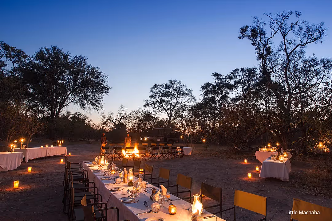 Have dinner beneath the stars to the calls of the wild, followed by a night cap around the fire before a good night’s sleep.