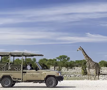 Etosha Private Reserves