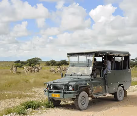Etosha: How to Plan Your Trip