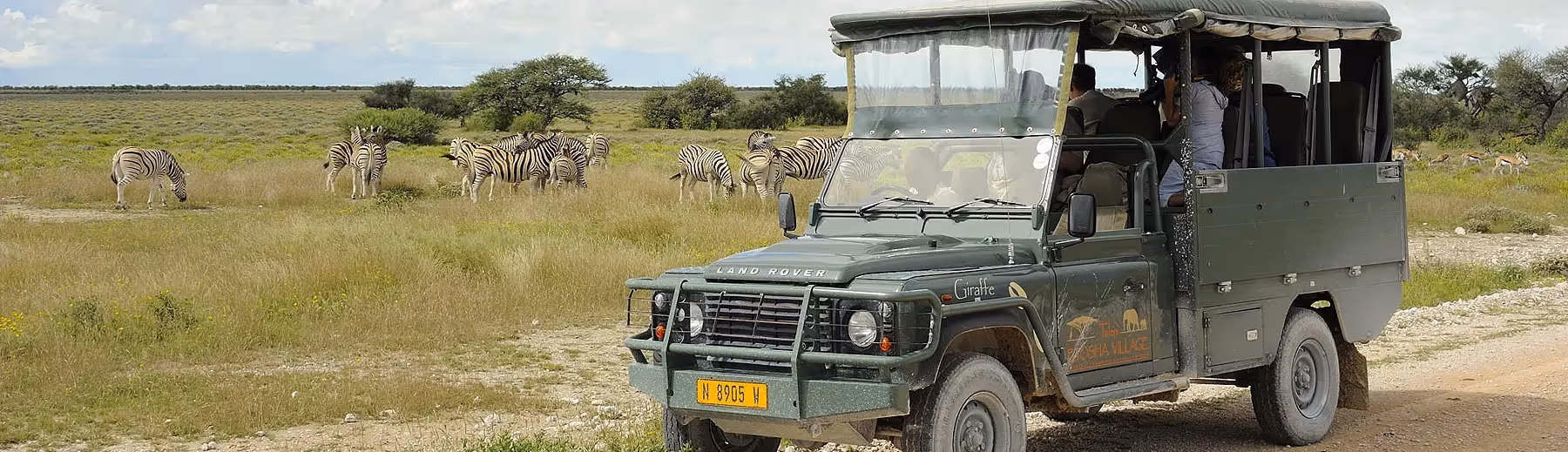 Etosha Village game drive with zebra