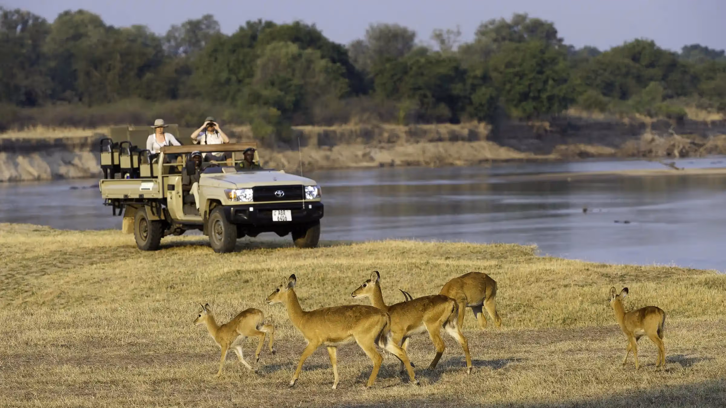 Guests in an open safari vehicle observe antelope in the African bush.
