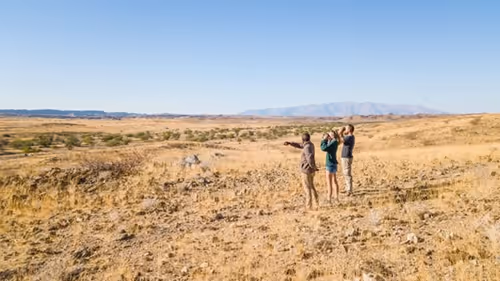 Guided bush walk tracking desert elephant and rhino in their natural habitat.